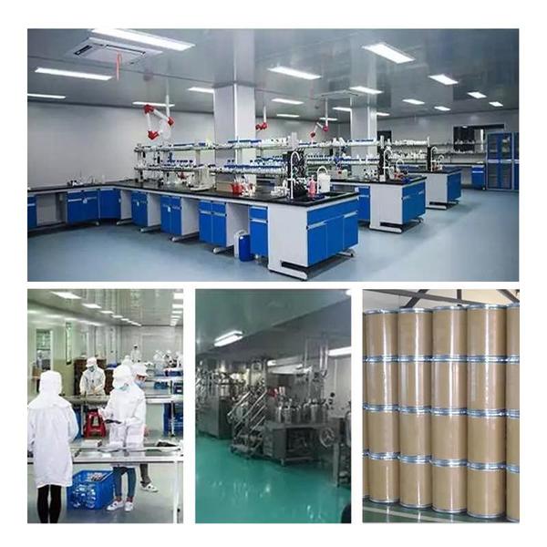 中国 Shaanxi Baisifu Biological Engineering Co., Ltd. 会社概要
