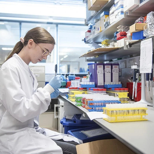 Shaanxi Baisifu Biological Engineering Co., Ltd. 工場生産ライン