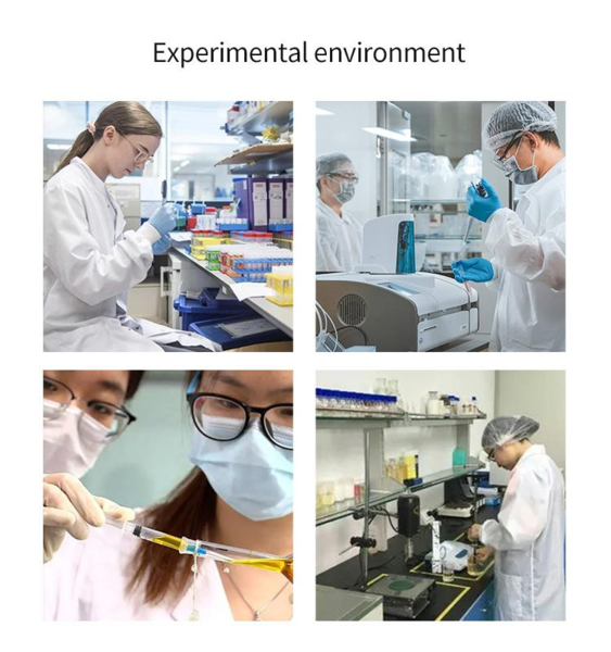 Shaanxi Baisifu Biological Engineering Co., Ltd. 工場生産ライン