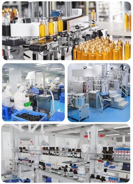 Shaanxi Baisifu Biological Engineering Co., Ltd. 工場生産ライン
