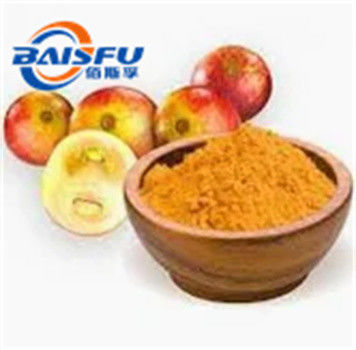 Baisfu pure natural plant extract Brown yellow fine powder Camu powder 100% pass 80 mesh UV TLC Food Grade For Food and dietary supplement