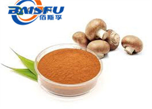 Shaanxi Baisfu herbal plant extract Yellow Brown Powder Polysaccharide 7% Cordyceps Tochukaso Extract Powder Food Grade for food additive and cosmetic