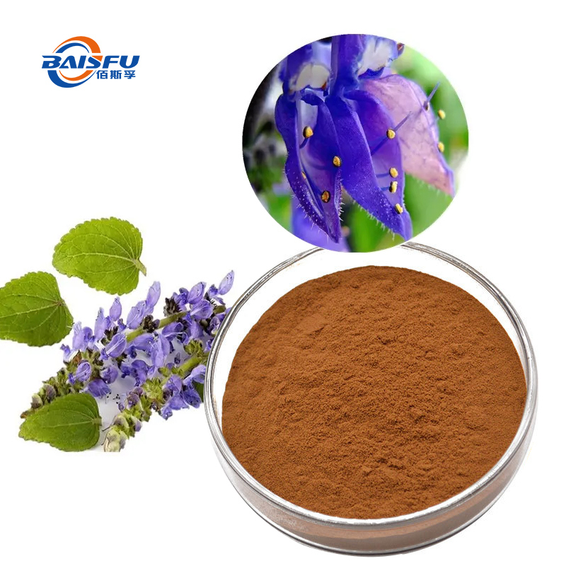 Premium Forskolin Extract 95% – High-Purity Coleus Forskohlii Root Powder
