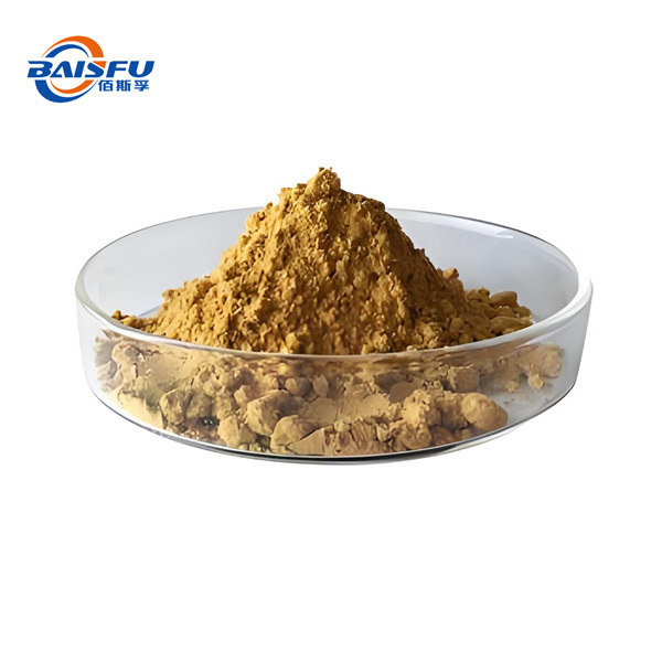 Premium Sage Extract Powder | Natural Antioxidant & Memory Support | For Dietary Supplements, Functional Food & Cosmetics