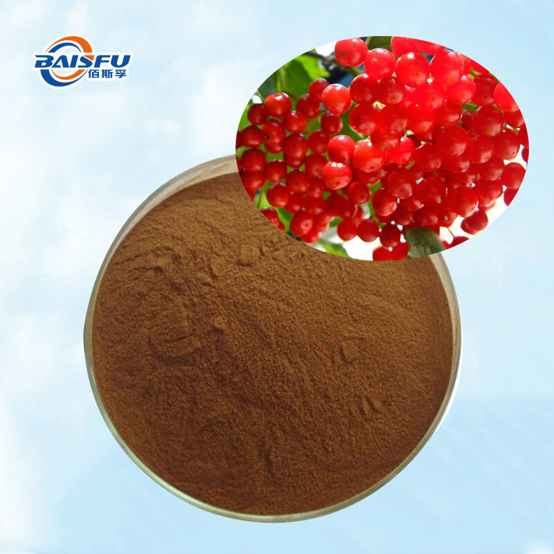 Baisfu Natural Schisandra chinensis.P.E CAS 7432-28-2 best Quality Brown Fine Powder Lignans For Functional Food and cosmetic