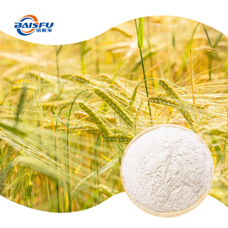 Instant Natural Barley Powder For Drinks Breakfast Baking & Cooking