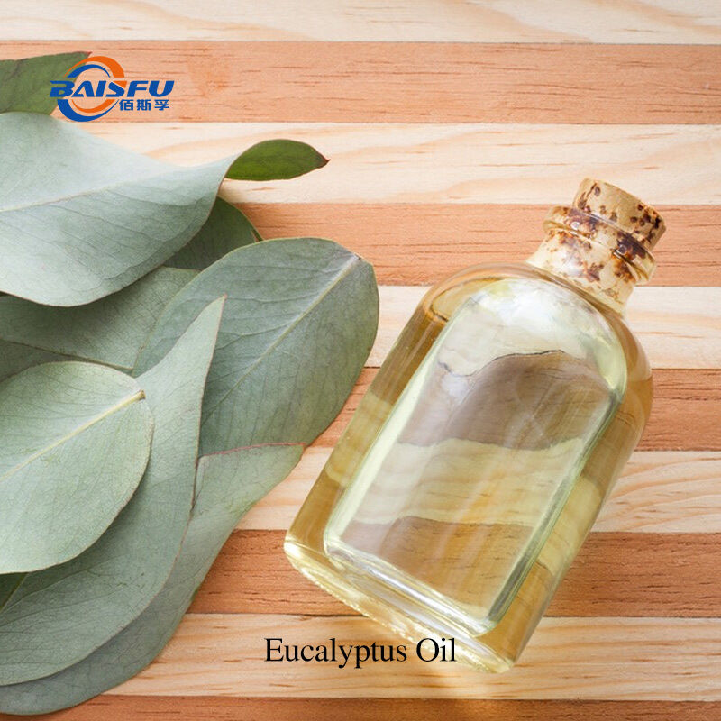Eucalyptus Globulus Oil 100% Pure Natural Essential Oil from Eucalyptus Leaves for Aromatherapy Cleaning & Personal Care
