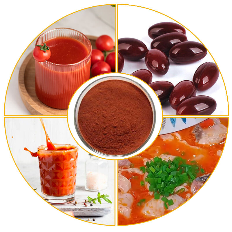 Baisfu Best Quality Lycopene Extract Powder Dark Red Fine Powder for Health Supplements and Natural Colorant