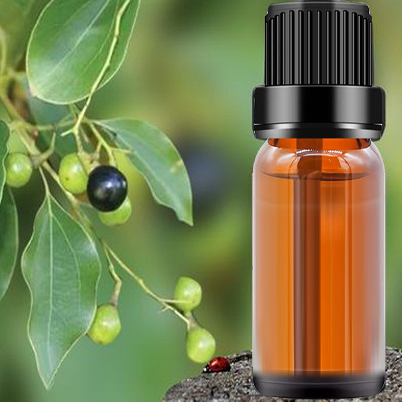 Baisfu pure plant Camphor Oil CAS 8008-51-3 Best Quality Light Yellow Oily Liquid for Spices and Cosmetic Raw Materials