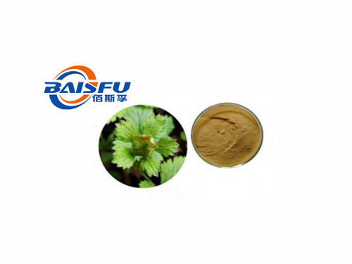 Baisfu Brown yellow powder Best Chinese Cinquefoil Herb.P.E Hot Selling Specifications 4:1 6:1 use in Health supplements and cosmetics